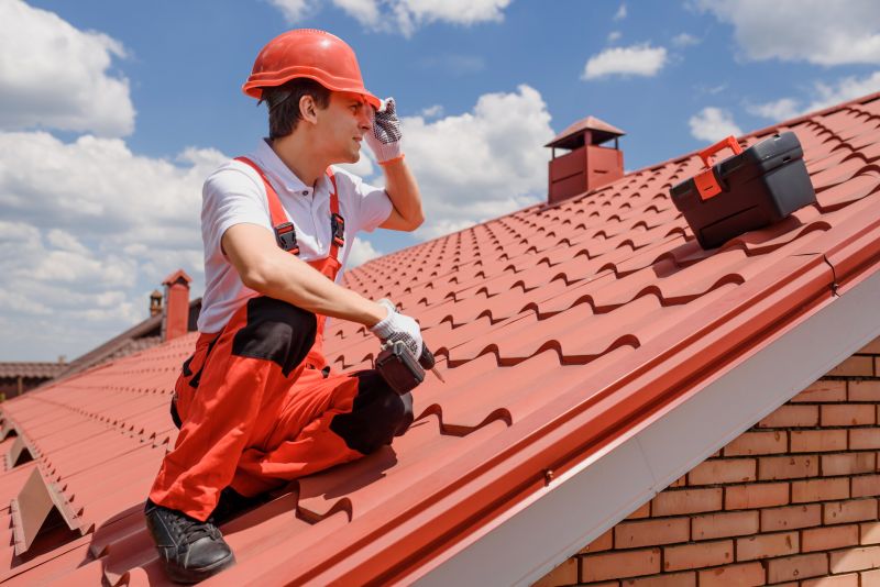 Professional Roofing Contractors